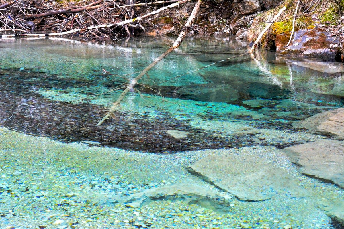 Quellwasseraustritt in der Ammer