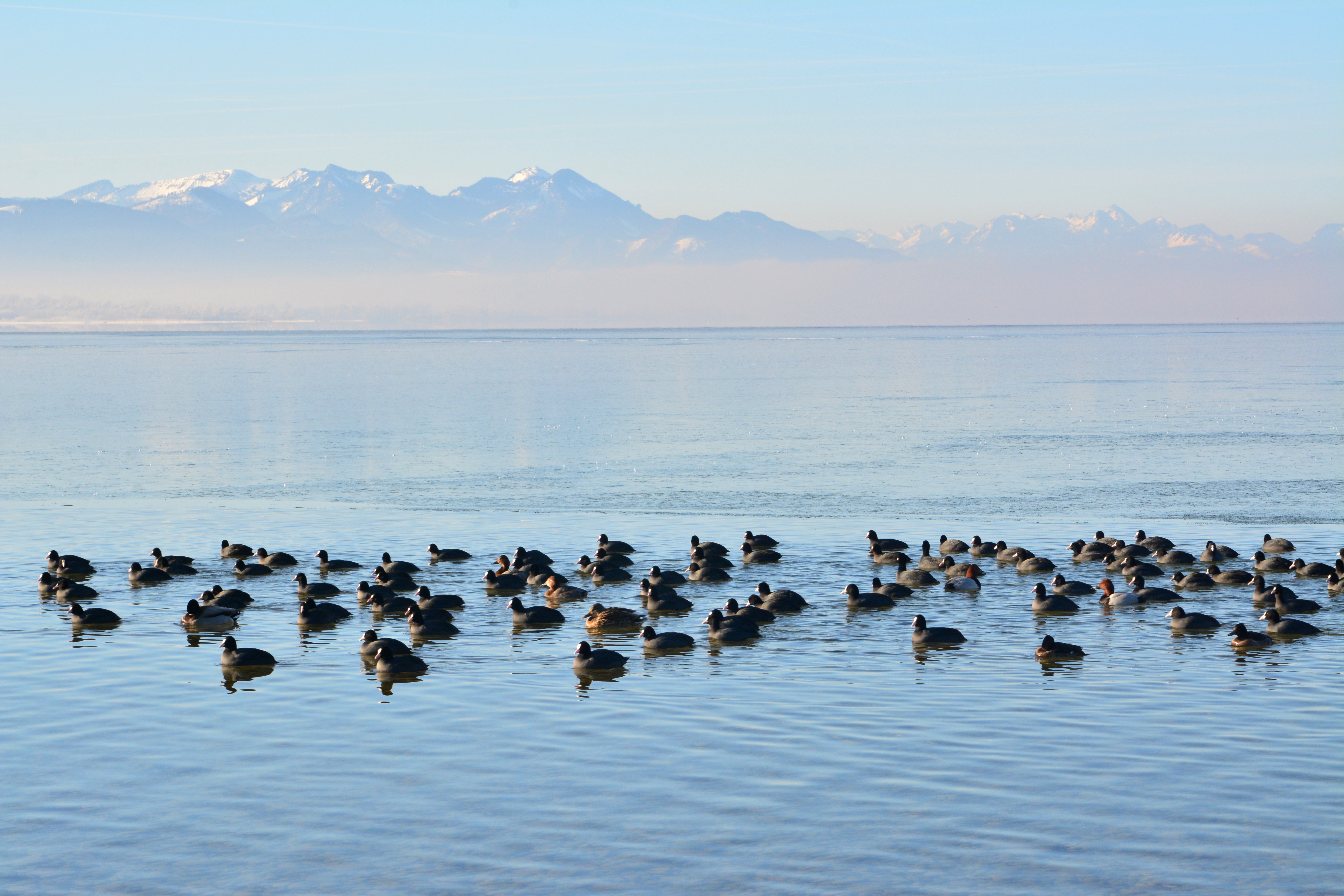 Winterliches Berpanorama