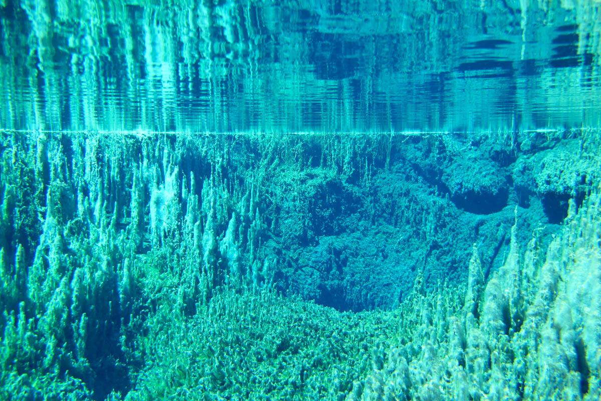 Moosauge unter Wasser