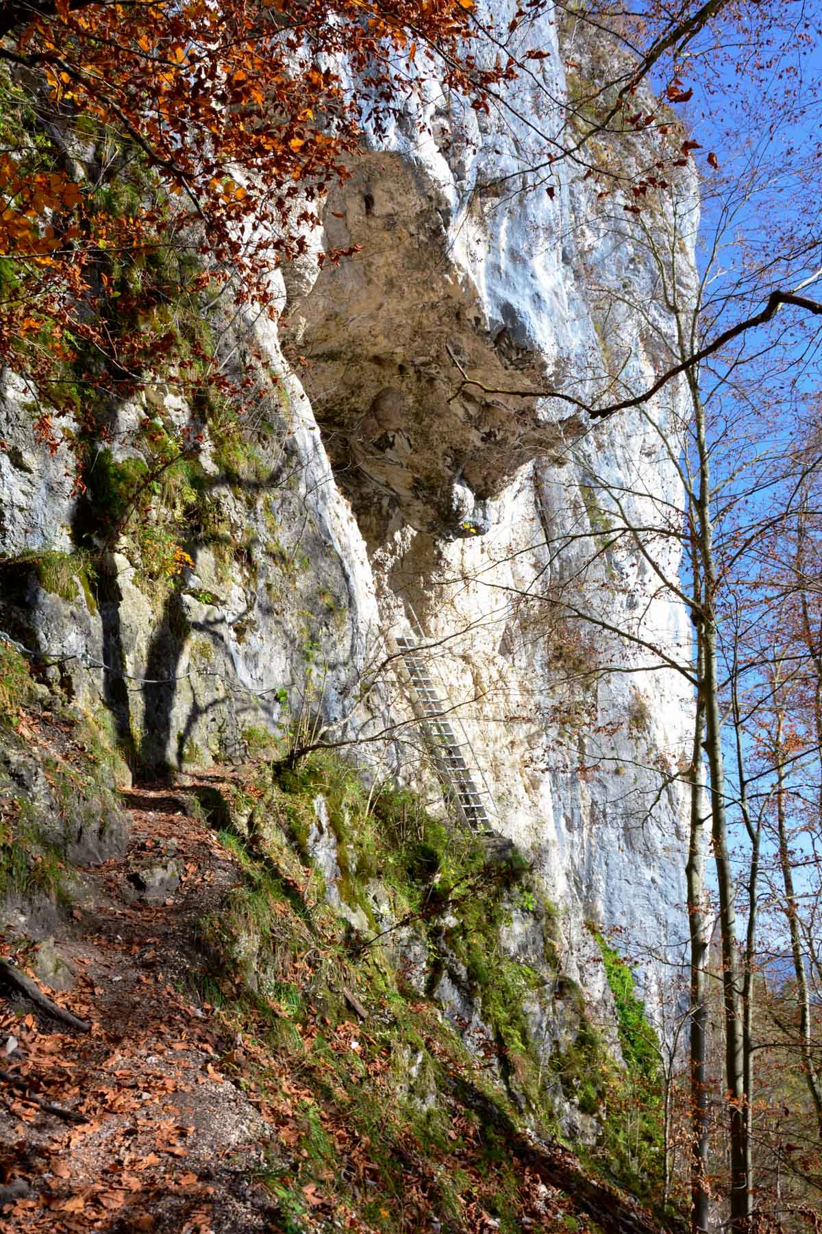 Anstieg zum Grafenloch Oberaudorf