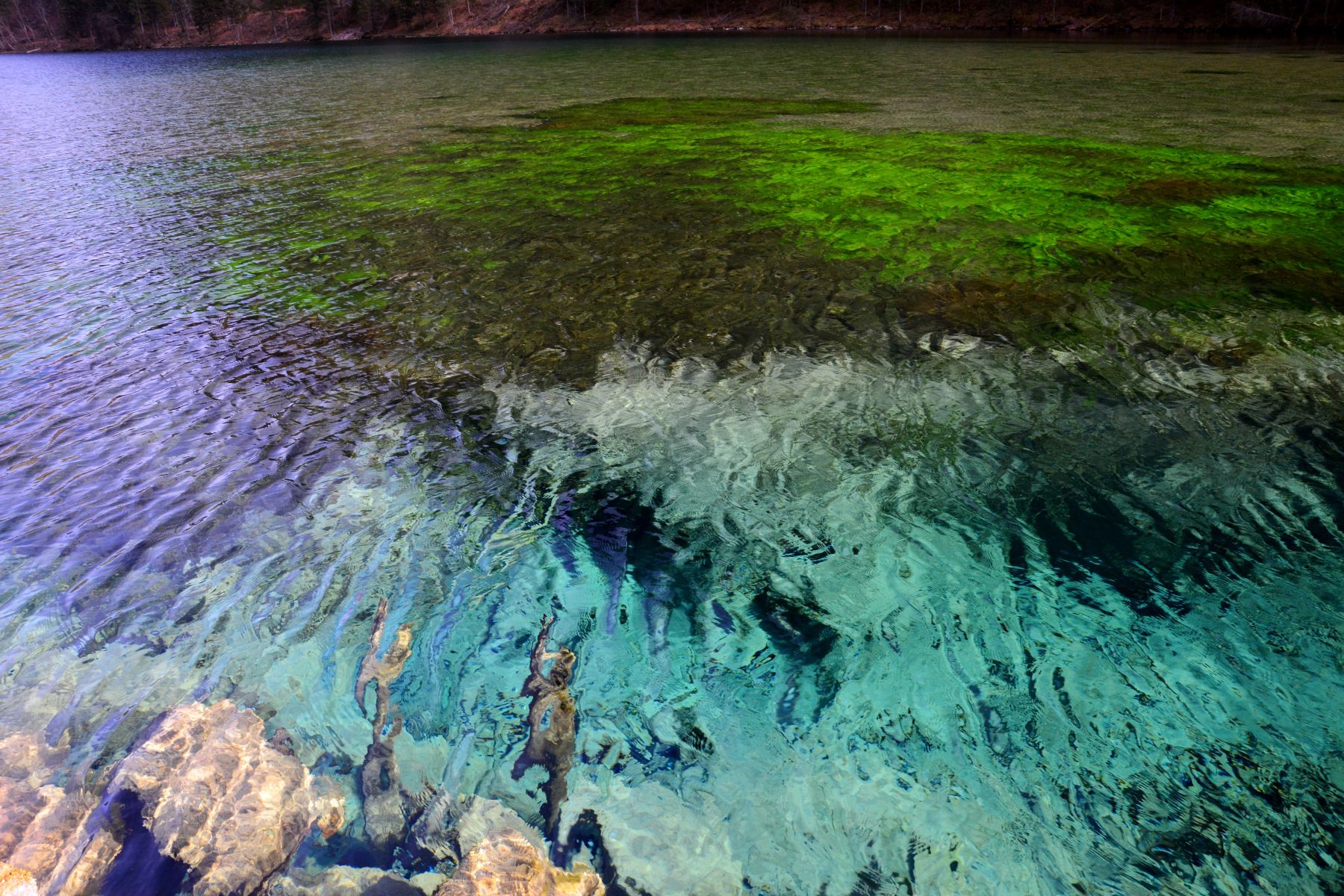21 11 11 (156) Saiblinge im Förchensee