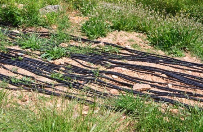 23 03 GR 6474 38.854817 23.048178 Hauptquellfeld Edipsou