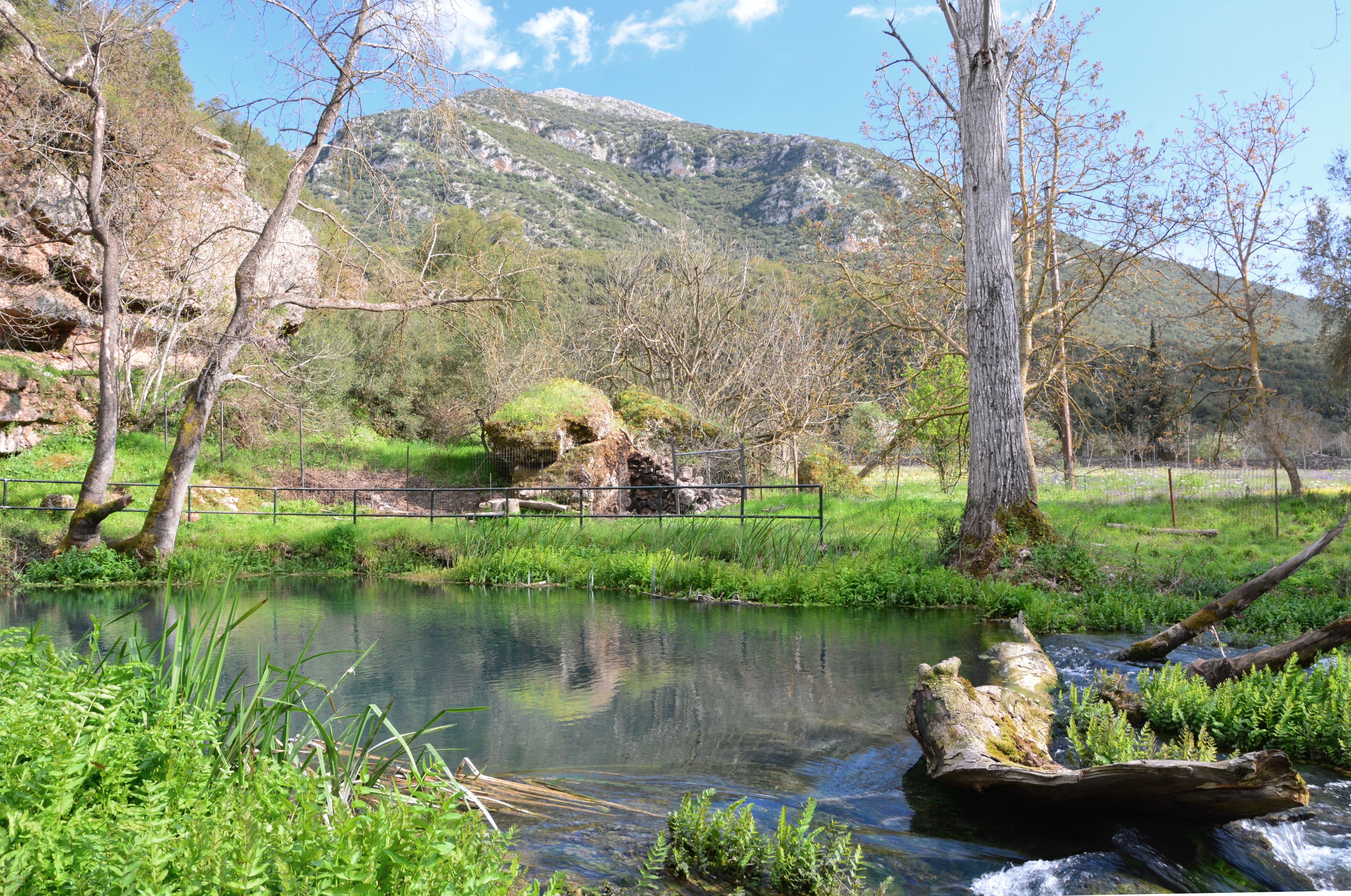 Karstquelle des Ladon