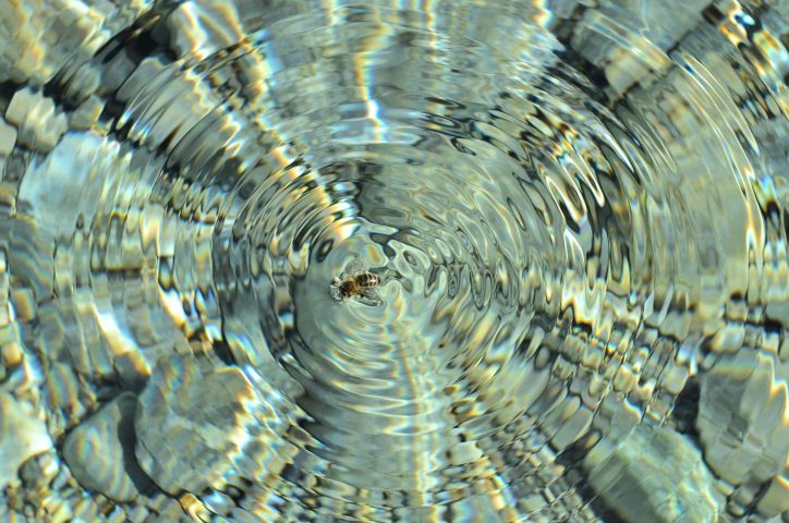 Wasser fotografieren - einmal anders - 3.docx-image11