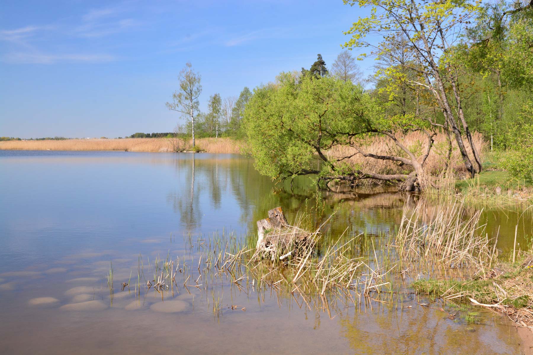 Birzai See