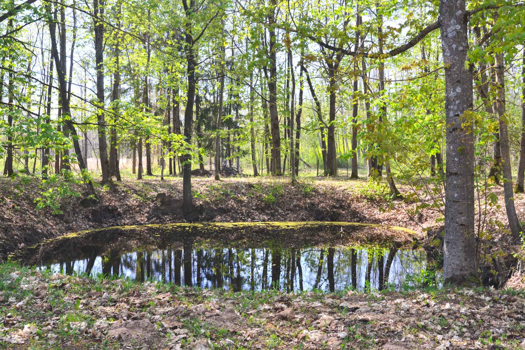Birzai Karstsee