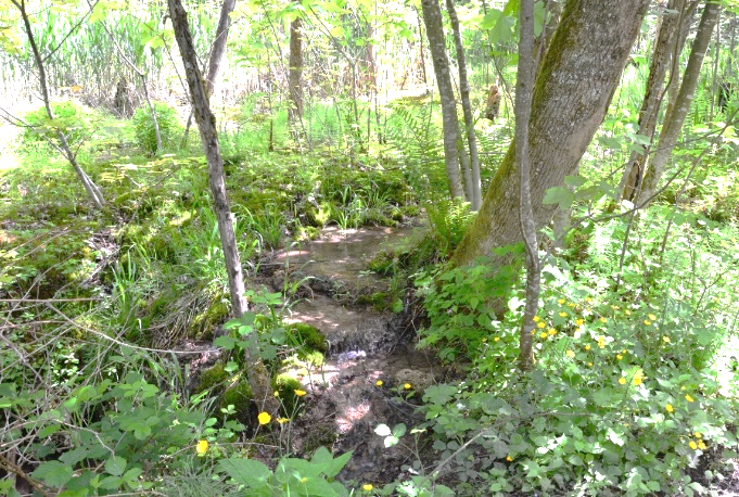Quellenleitfaden.docx image7