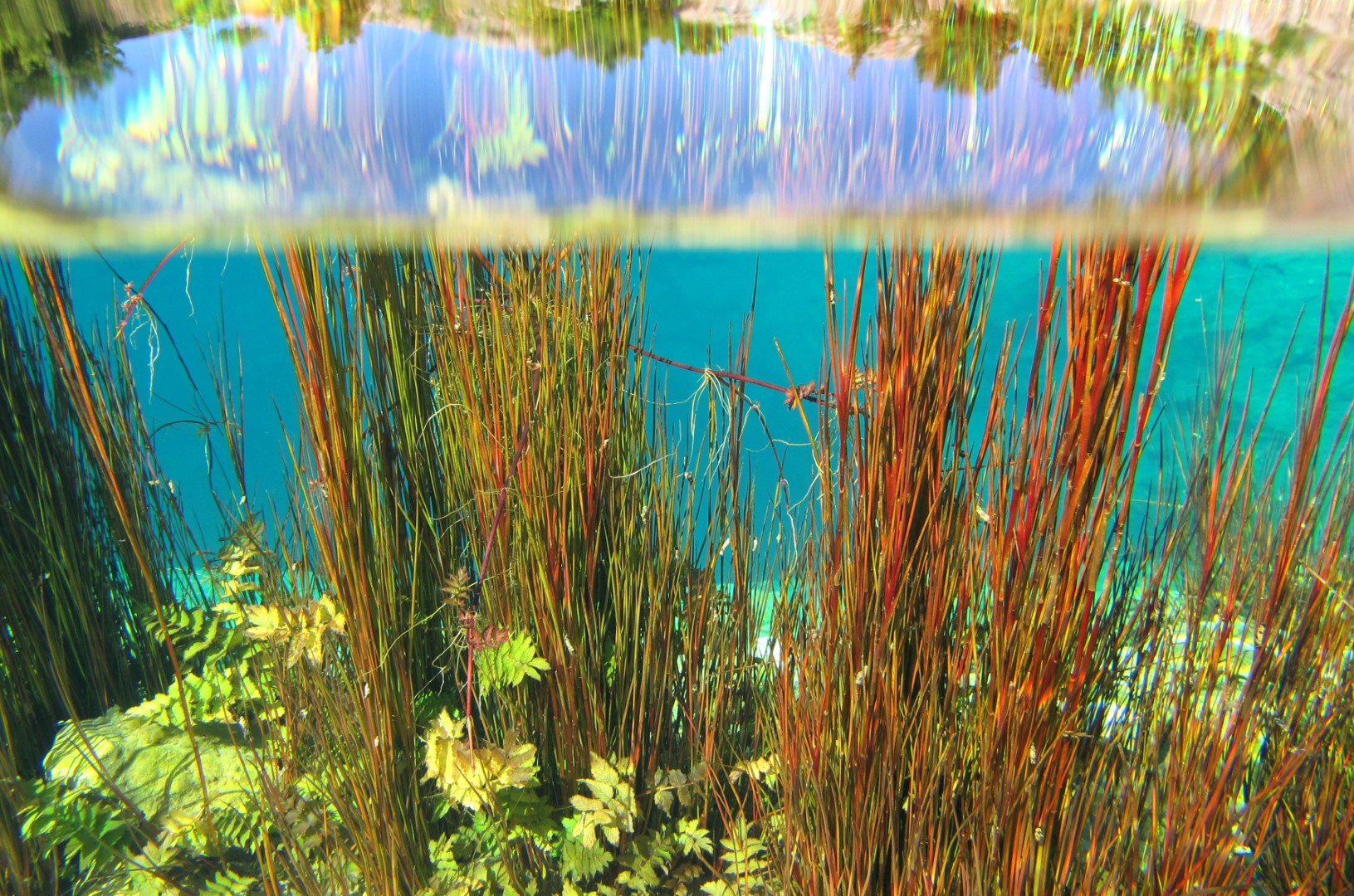 Spiegelung an Wasserfläche