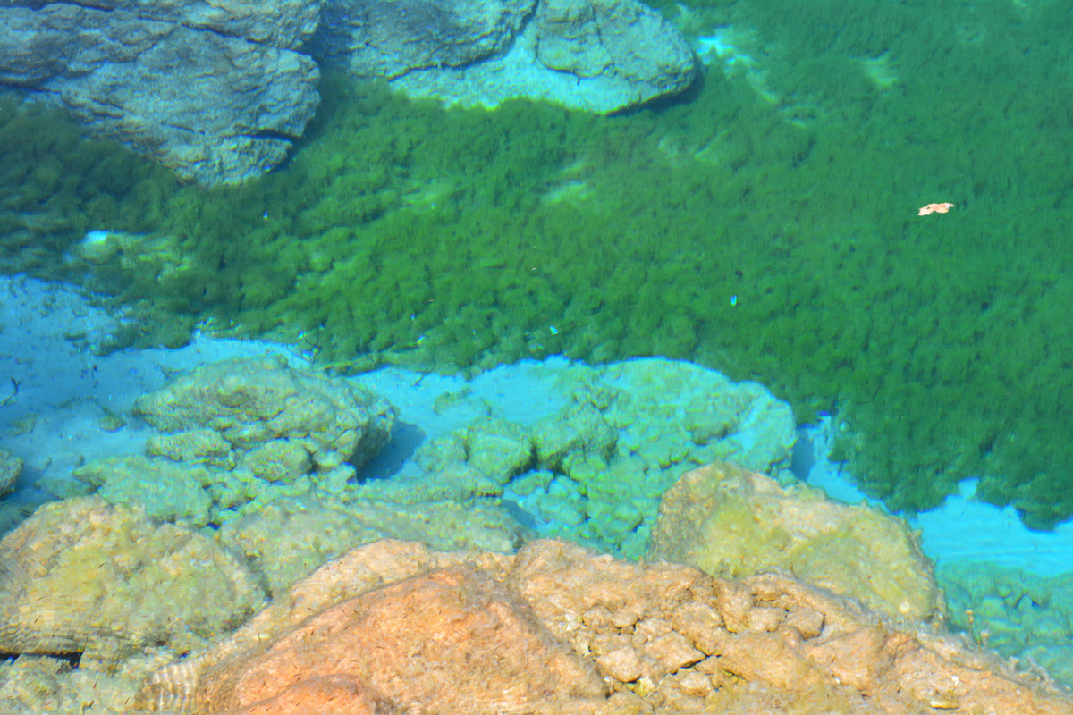 Grünalgen und Blaualgen Lago di Cornino