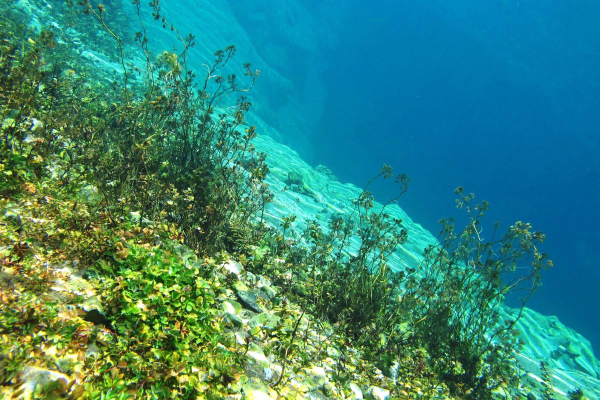 Cetina Quelltopf unter Wasser
